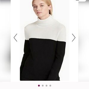 Calvin Klein COLORBLOCK Turtleneck Sweater